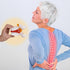 Model:1.5 breesky Human Anatomical Lumbar Disc Herniation Times Life Size Lumbar Disc Teaching Model Tool-for Medical