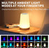 1 13-Color GlowLite - LED Night Light with Remote, Changing Ambiance Light for Living Room, Dining Table & Camping
