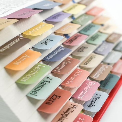 75 VANRA Bible Tabs for Women and Man Boho Theme Bible Index Tabs for Study Bible Morandi Laminated Bible Tabs for Old