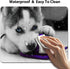 Siberian Husky Pup Playing with Purple Blue Ball Cute Large Mouse Pad Custom