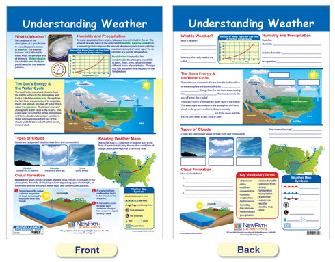 NewPath Learning Weather & Climate Bulletin Board Charts, Set of 3, Laminated, 12" x 18" (94-8003)