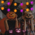 25FT 27 Count G40 Purple and Orange Christmas Lights, Christmas LED String Lights, Indoor Decoration Lights for Outdoor