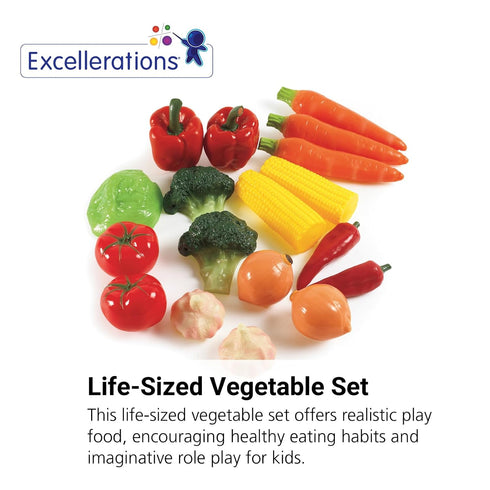 Set 18 Excellerations Life-Sized Vegetable - Pieces