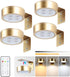 KELUOLY 4-Pack Dimmable Picture Light Battery Operated Painting Lights for Wall, Magnetic LED Display Art Light