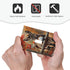 HTSAHKV 3 5 Inch Autumn Farm Donkey Wall Plate Light Switch Cover Single Gang Outlet Faceplate Print Plate Cover X