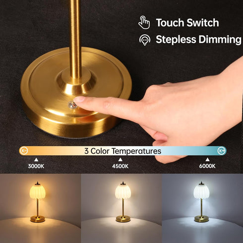 5000mAh 3 Dimmable Shenmoyl Tulip Table Lamp with Battery & Touch Control, Cordless Table Lamp with Colors