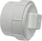 Canplas 193704AS PVC DWV FTG Cleanout Adapter with PL, White