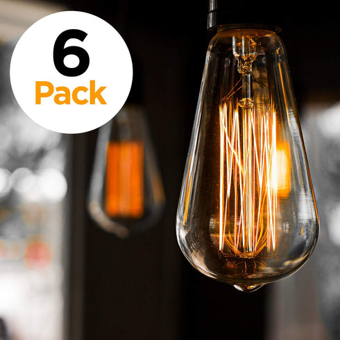 ST64INC-6 ST64 Bulb 6-Pack Bulbs-ST64 60 Watts-Dimmable, (E26) E27-Squirrel 6-Pack, 2.7, Newhouse Lighting Vintage