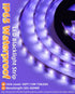 IP65 40ft/12M 720 12V 385-400nm, Waterproof LED Black Light Strip Kit LEDs, Flexible Blacklight Fixtures, Black Light