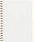 Maruman Septcouleur Lab Notebook, 8.35 x 6.22 Inches (A5), 3mm square grid, 100 sheets, Comfort Mint (N768-53)