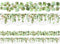 Fancy Land Eucalyptus Die-Cut Border Trim - 36ft Roll, Two-Sided Printed Leaves for Classroom Decor