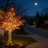 150 50 LUCKY SHINE LED Warm White Christmas Lights, UL Certified FT Green Wire String Lights, for Indoor and Outdoor