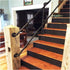 ALDEPO 30-600Cm Non-Slip,10.8Ft/330Cm 1ft/ Grab Bars Handrail Wrought Iron, Industrial Pipe Matte Black Stair Railing