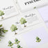 50Pcs FYSUIMU Funeral Thank You Cards Bulk Boxed Tree Sympathy Thank You Cards with Sticker Envelope Bereavement Card