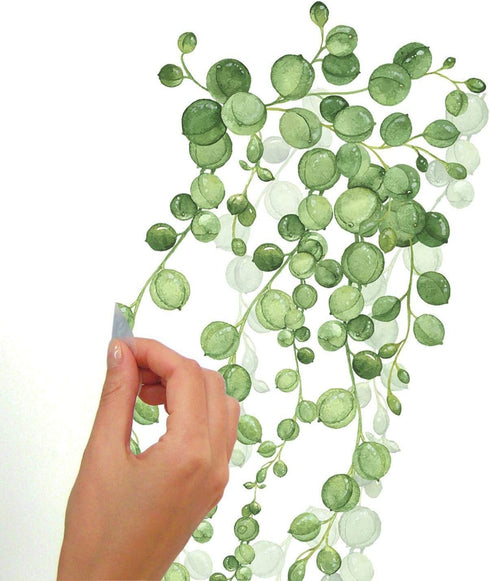 RoomMates RMK3903SCS (Pack 4) String of Pearls Succulent Vine Peel and Stick Wall Decals|