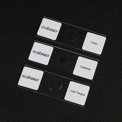 Prepared Bacteria and Fungi Microscope Slide Set, 9pcs for Biology Education and Science Study