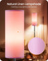 2 Pack Dimmable 2 64.4'' 10W 900LM Bulb 3000K-6500K, P06LDP205W1 Pink Floor Lamps for Living Room with Remotes and Foot