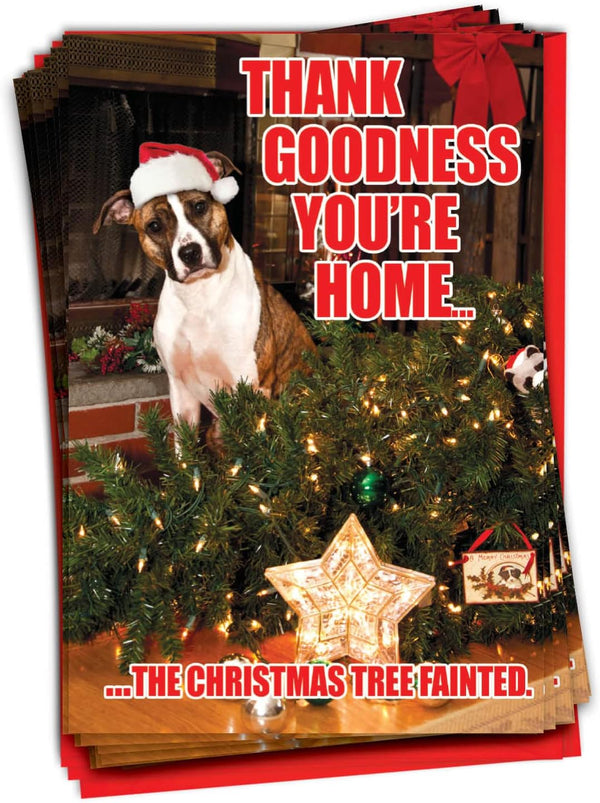 NobleWorks Bulk Pack of 36 Humorous Merry Christmas Greeting Cards w/Envelopes, Boxed