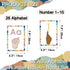YIYDONG Sign Language Bulletin Board Letters, 36 ASL Alphabet Learning Cards Set for Classroom Decor