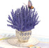 CUTE POPUP Enchanting Lavender Pop Up Card, Mesmerizing Purple Flower Design for Birthdays, Anniversaries, Mother's Day