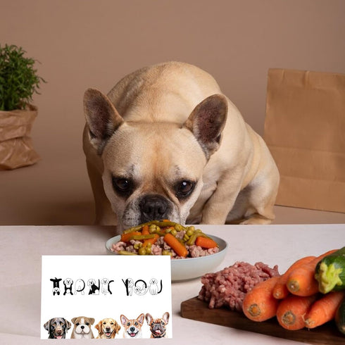 RUALOVE Cute Dog Thank You Card - Appreciation Gift for Friend, Teacher, Boss, Coworker or Dog Lover - Pun Veterinarian