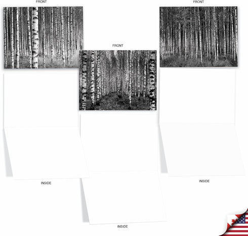 The Best Card Company - 10 Blank Note Cards with Envelopes (4 x 5.12 Inch) - Bulk Boxed Set of Black & White Photos