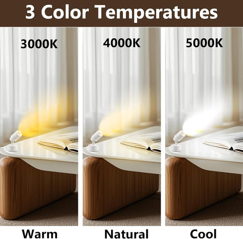 3W Dimmable 3CCT, 5.9FT LED Spotlights Indoor Uplighting with Timer, Up Plant Spotlight, Uplights Accent Lighting