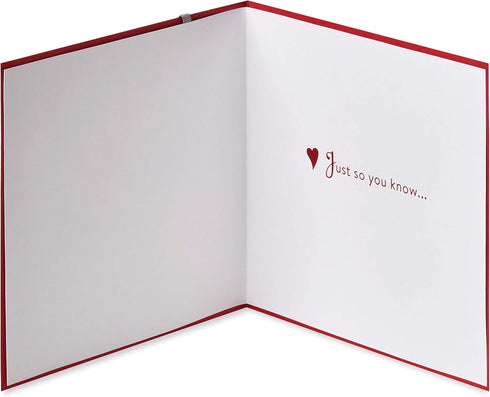 Papyrus Romantic Valentine's Day Card (Just So You Know)