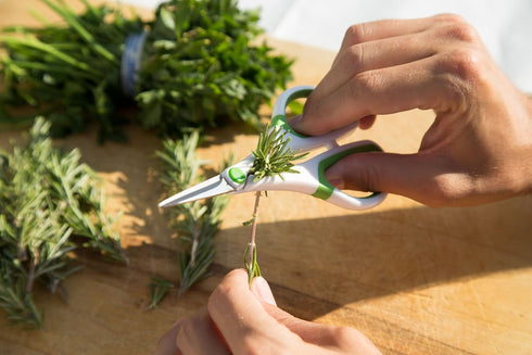 Zyliss Heavy Duty Home & Kitchen Herb Shears Scissors - White/Green, 8.5 x 4.2 x 0.4 inches with Innovative Stem
