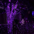 Dazzle Bright Fairy String Lights, 20 FT 60 LED Copper Wire, Battery Operated Waterproof Lights for Halloween Decor