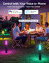 2200K-6500K IP65 4 Pack OUTON Pathway Lights Outdoor, Smart Low Voltage Landscape Lighting with RGB and White, APP