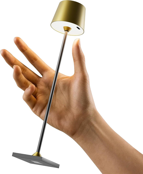 Timjorman Compact Cordless Table Lamp, Rechargeable LED Night Light, Dual Light Source (RGB