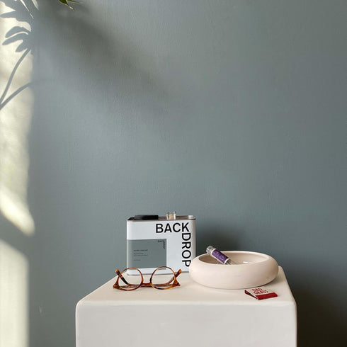 BACKDROP | Premium Interior Paint | Large Adhesive Paint Swatch | SILVER LAKE DAD - Slate Blue Gray | 12" x 12" Color