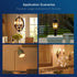 60W Bulbs, Dimmable Bulbs, E12 550LM, 90+ 12 Pack, 2700K UL,CA65 FLSNT Equivalent LED Candelabra LED Chandelier Base