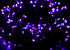 300 99FT 8 kemooie LED Purple Christmas Lights, Connectable Lighting Modes Plug in Fairy Lights, Waterproof
