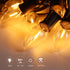25 Pack C9 LED Replacement Bulbs for Christmas Outdoor String Lights, E17 Base, 2200K Commercial Grade Holiday