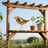 2-Pack YOSION Solar Garden Bird Lights, Metal Decorative Figurines, Outdoor Path Lighting for Yard and Patio