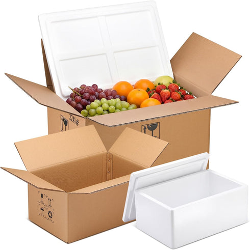 ForraFun 2 Pack Insulated Carton with Foam Shipper 19.3 x 13.4 x 10.2