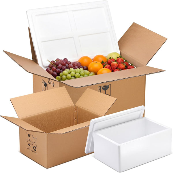 ForraFun 2 Pack Insulated Carton with Foam Shipper 19.3 x 13.4 x 10.2