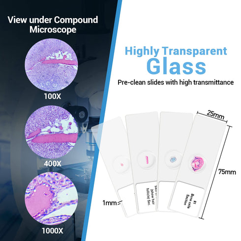 100Pcs Prepared Microscope Slides Set, Professional Specimens for Kids and Student Homeschool Use