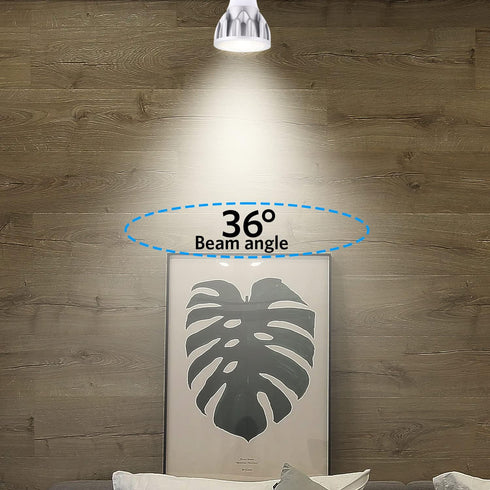 PAR20 LED Bulbs, 2 Pack, 12W Dimmable Spot Light, 100W Halogen Equivalent, 4000K Natural White, E26 Medium Base