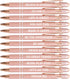 PASISIBICK 12 Pieces Rose Gold Motivational Quotes Snarky Screen Touch Stylus Ballpoint Pens, Black Ink (Rose Gold)