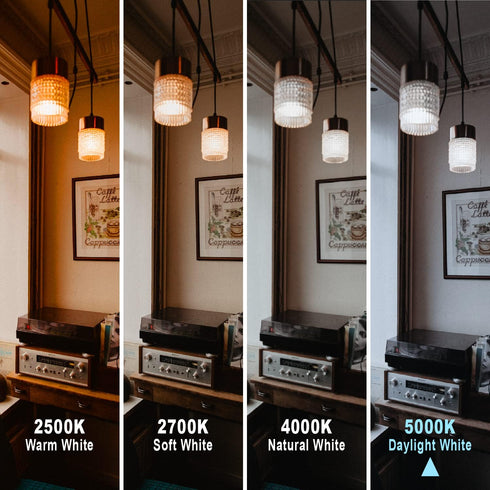 ST58 (ST19) LED Edison Bulbs, 45 Watt Equivalent, Dimmable Antique LED Filament Bulbs, 5000K Daylight White, 6 Pack