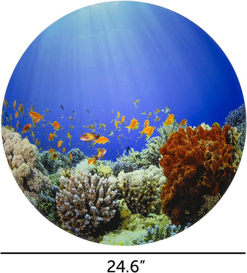 TickiT Under the Sea Discovery Play Mat - Semi-Translucent, Underwater Landscape - For All Ages - Light Table Accessory