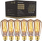 Edison Light Bulbs 25W - Thomas Edison Light Bulb Style - Incandescent