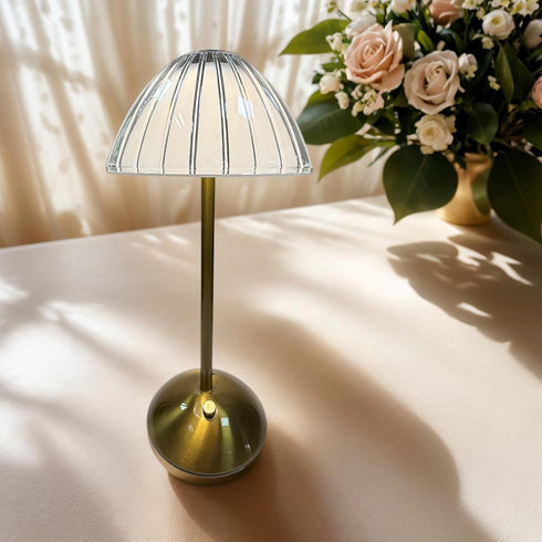 BWHSHK TD010 Gold Portable Desk Lamp for Bedroom,USB Rechargeable Table Lamp/Night Lamp