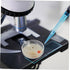 10pcs Science Experiment Kit Glass Petri Dishes Cell Culture Plates Vented Lids Lab Equipment for Students Microbiology