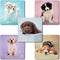 SmileMakers Rachael Hale Dogs Stickers, Hypoallergenic & Latex Free