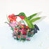Hummingbird Pop Up Birthday Greeting Card - Great Gift for Birthday, Thanksgiving, Anniversary, Valentine's Day, Kids