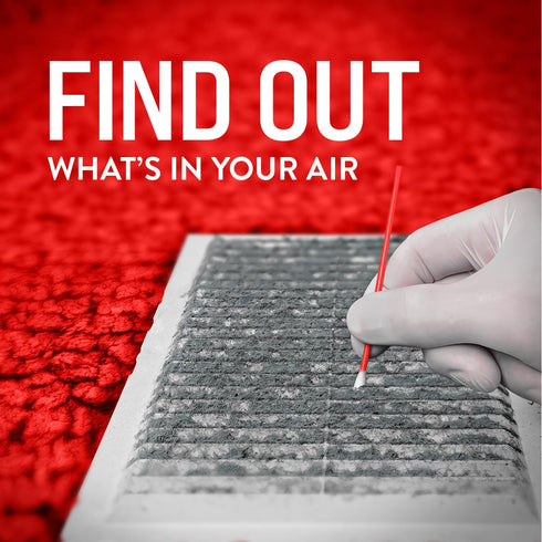 BioCide Labs DIY Mold Test Kit for Home Air Quality - Test 10 Locations, Lab Analysis Included